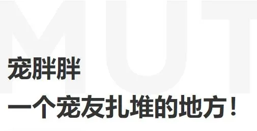 ������(������APP һվʽ���� �����ۺϷ��� ���ｻ��ƽ̨)
