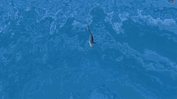 ����ģ��ѻ����°�׿��