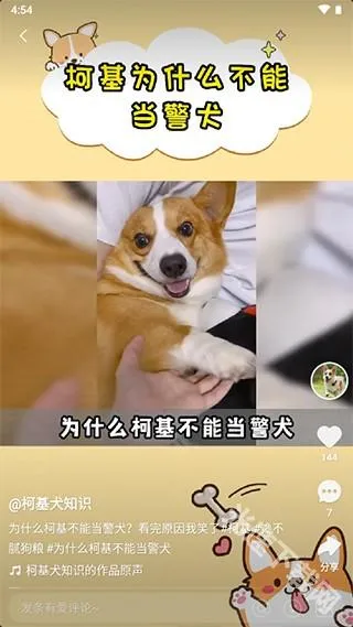 ��ߴ(��Ԫ��������)