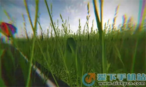 �ֲ������������ֻ���v1.00 �ֻ���