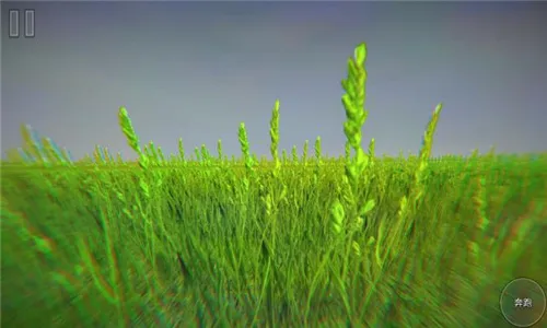 �ֲ������������ֻ���v1.00 �ֻ���