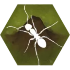 ��������2025����v2.53 ��׿��