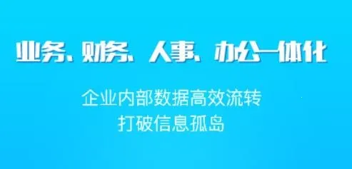������ERP������2025���°汾