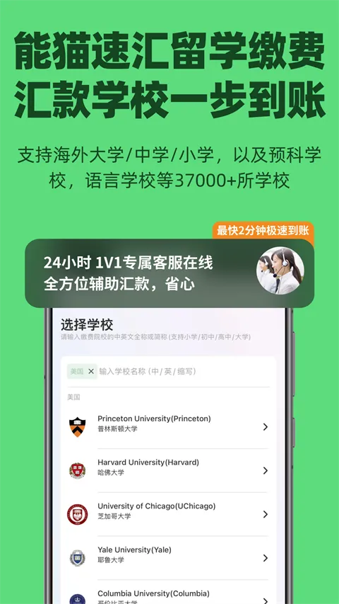 Panda Remit(�羳��ȫ���)