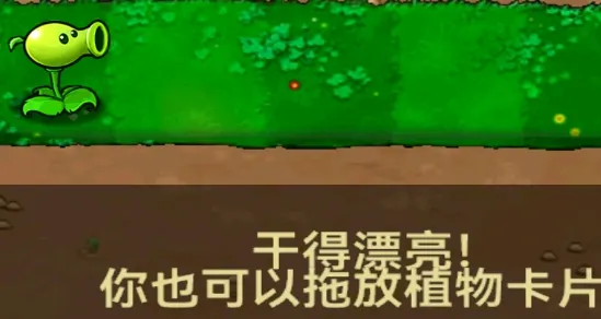 PvZ PAID2025�ٷ�����