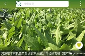 ũ����2025�ֻ���