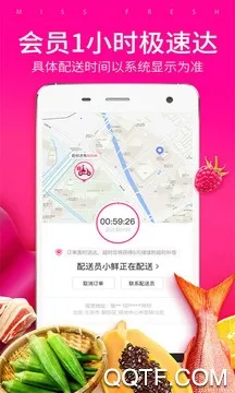 ÿ������2025���°汾