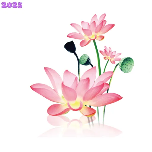 ˮī������2025�ٷ�����v1.2.0 app