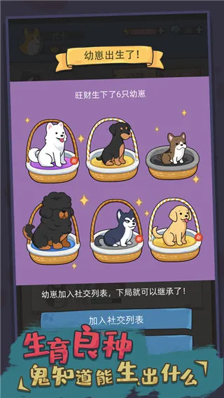 Dog Simulator(����ģ����Ϸ)
