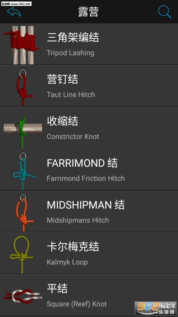 Knots 3D(����ѧϰ����)v10.8.3 app