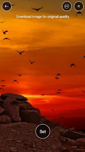 4K Wallpapers(��׿��ֽ����)v4.2.2.1 ��׿��