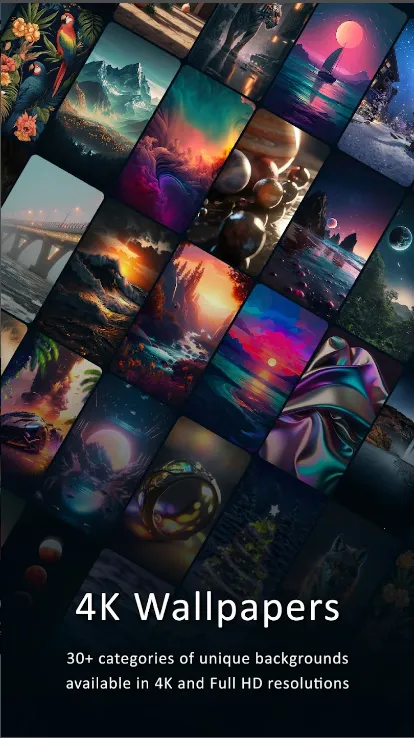 4K Wallpapers(��׿��ֽ����)v4.2.2.1 ��׿��