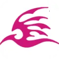 �ɼ���2025��׿�ֻ���v2.2.0 app