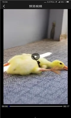 ����ȥˮӡ(��Ƶȥˮӡ����)