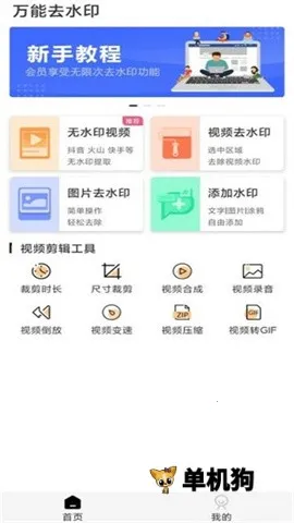 ����ȥˮӡ(��Ƶȥˮӡ����)