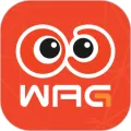 ��������(�������¹�Ʊ)v2.3.7 app