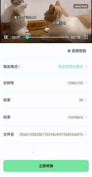 ���ܸ�ʽת��2026���°汾