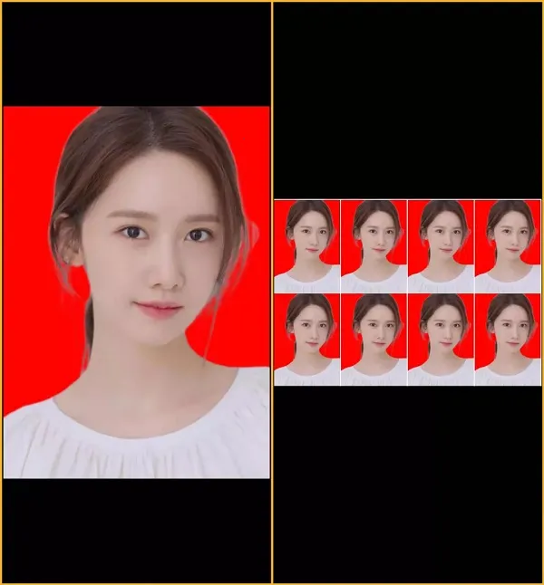 һ��֤��������