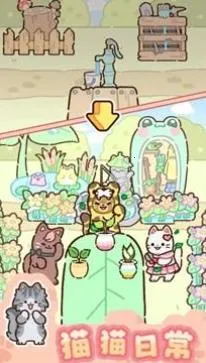 �����԰���°�׿��