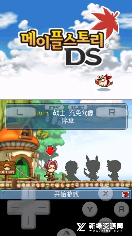 ð�յ�DS(�ƻ�ð����Ϸ)v3.0 �ֻ���