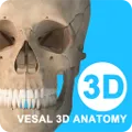 ά����3D����2025���ذ�װv5.7.0 ���°�