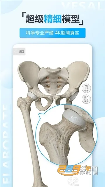 ά����3D����2025���ذ�װ