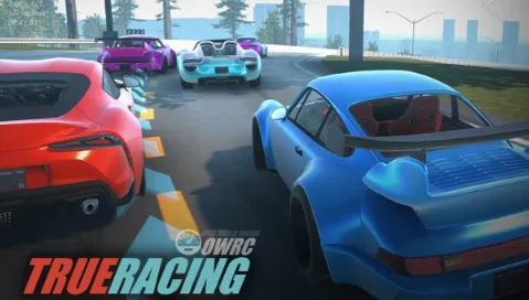 OWRC(�������羺��)