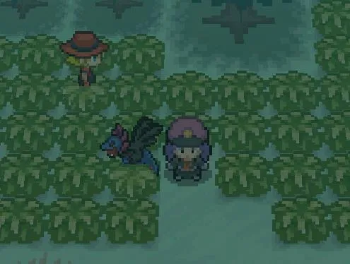 PokeMMO(������������Ϸ)