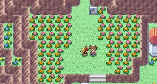 PokeMMO(������������Ϸ)