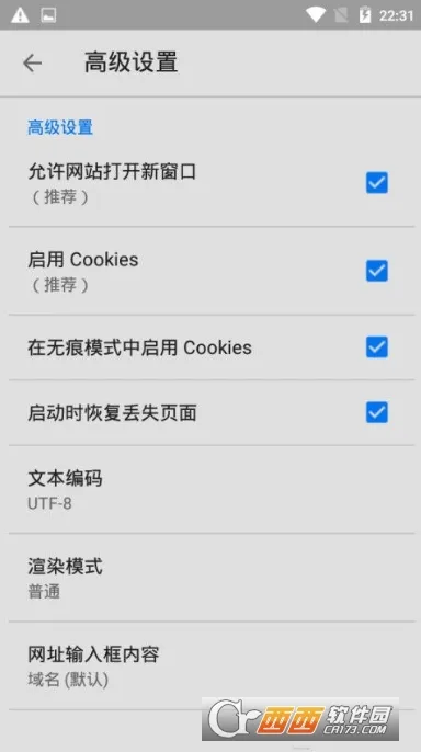 IDM+2025���ذ�װv21.3 �ֻ���