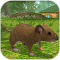 ����ģ����2026���°汾v1.49 �ֻ���