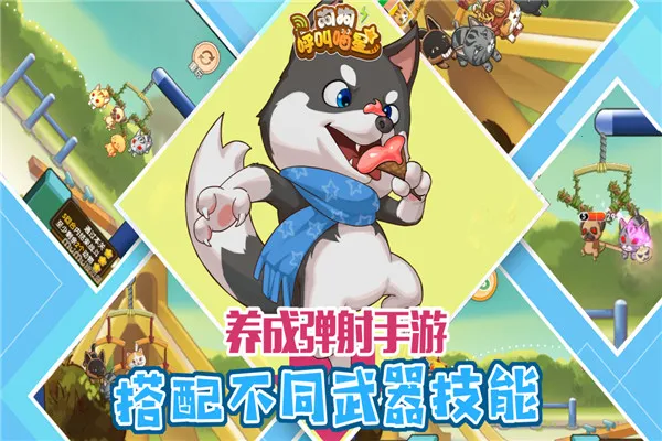 �����������������ֻ���v3.0.3 app