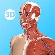 ��Ĵ�ʦ2026�ֻ���v3.4.9 ���°�