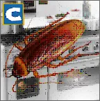 ���ģ����2026�ٷ����°汾v1 �ֻ���