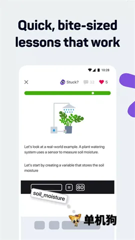 SoloLearn2026�ٷ����°汾