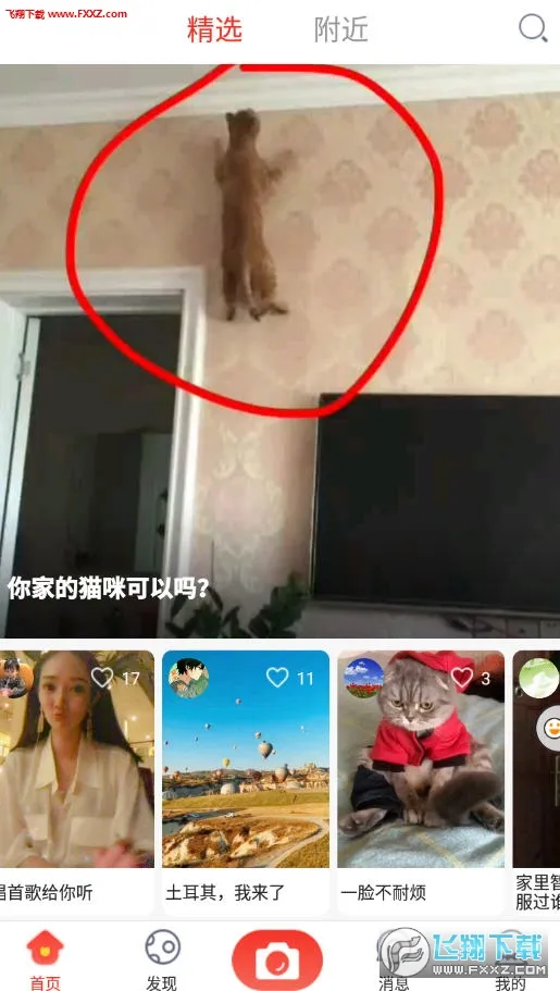 ��һ��Ƶ�����ֻ���