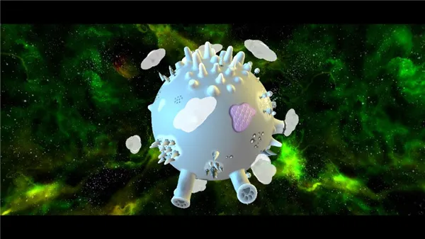 ��������2026���°汾
