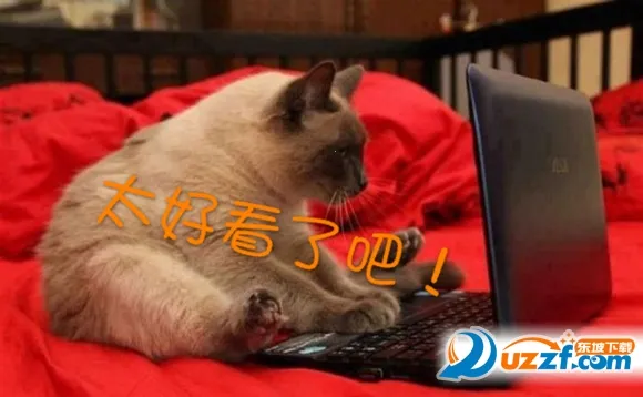 WebNovel(С˵�����Ķ�)